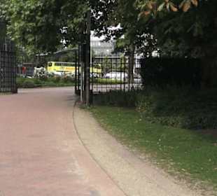 Millerntorspeier - Große Wallanlagen