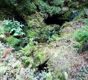 Inselrundfahrt Terceira