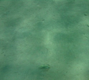 Sharm el Naga