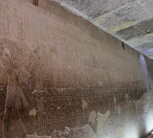 Reginas Red Sea Tours