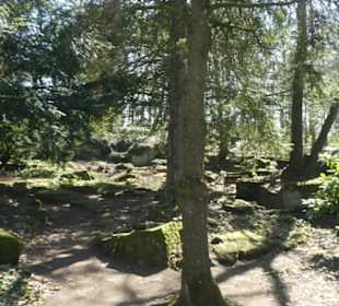 Schwanberg: das Alpinum