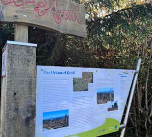 Wandern in Willingen 