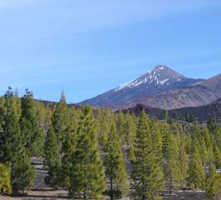 Der Teide