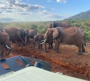 Tsavo Ost