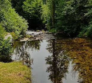 Rundwanderweg Baiersbronn