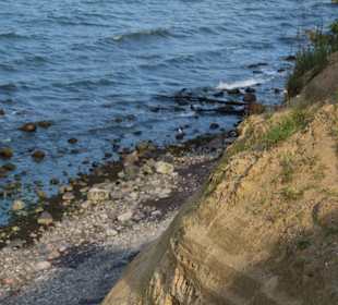 Blick auf die Ostsee