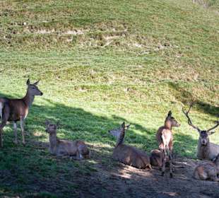 Wandern Balderschwang