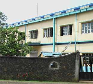 Teefabrik - Tea Factory 