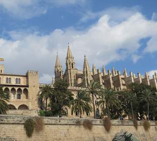 Immer wieder imposant