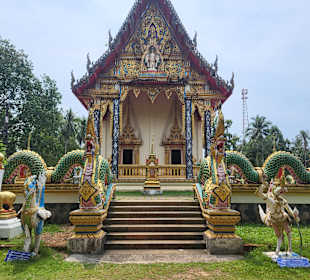 .... Besuch beim Tempel 