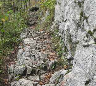 Wandern Brandenberg
