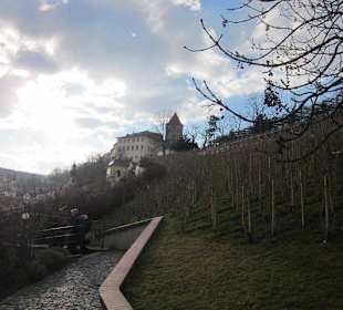 Weinberg vom Hradschin