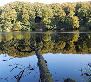 Auf der Wanderung zum Kreidefelsen