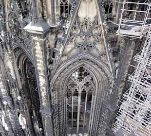 Ausblick vom Domturm