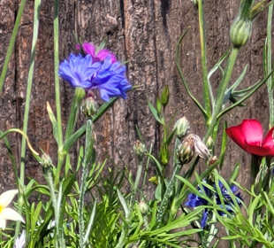 Wandern Oberwiesenthal