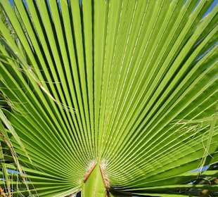 An der Strandpromenade von Argelès-Plage