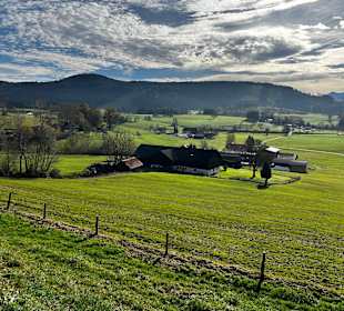 Skulpturenweg Maierhöfen