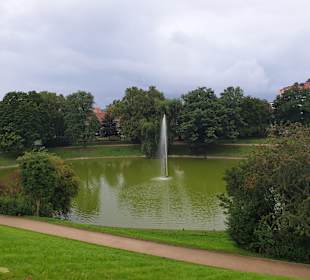 Stadtrundfahrt Dresden