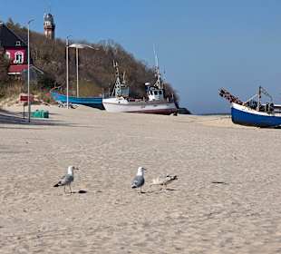 Strand