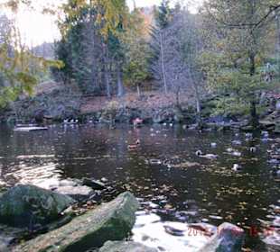 Kurpark