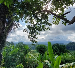 Ausblick von der Terrasse