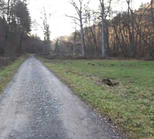 Schönbuch Schaichtal