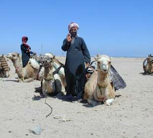 Kamelreiten nach der Quadtour