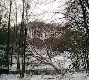 Verschneite Parkanlage