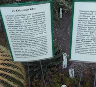 Botanischer Garten