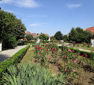 Altstadt Mediaş