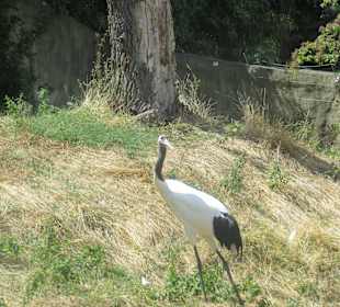 Wann kommt das Futter?