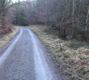 Ochsenweiher Rundweg
