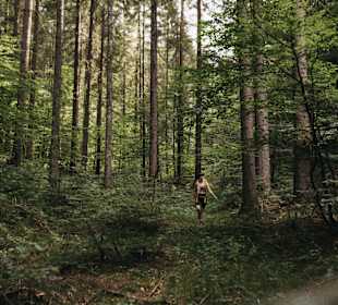 Wandern Oberaichwald