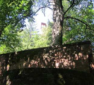 Burg Berwartstein