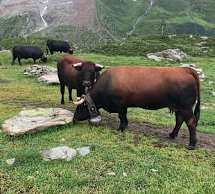 Wandern Blatten (Lötschen)