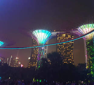 Schöne beleuchtete Bäume