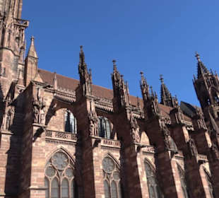 Freiburger Münster