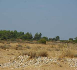 Interessantes Gebiet 