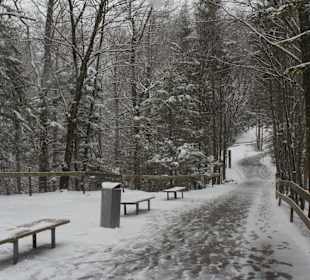 One of many paths en route to/from the castle.