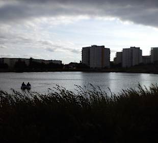 Jezioro w Parku