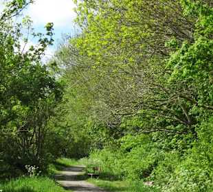 Eindrücke vom Rundgang im Seenpark