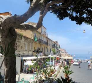 Tropea