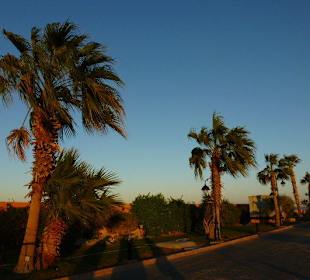 Hurghada Stadrundfahrt...Bei Delfinausflug mit Mo