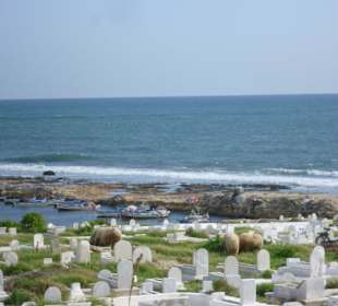Letzte Ruhestätte direkt am Meer