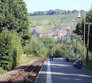 Blick zu den Weinbergen