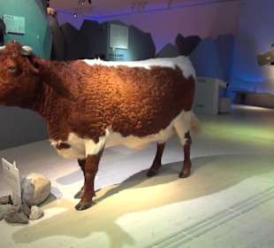 Nationalparkzentrum Haus der Berge