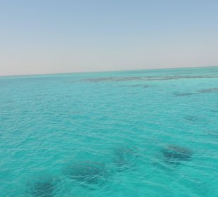 Schöne Riffe in Hotelnähe