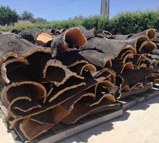 Lieferung von frisch geschälten Rinden