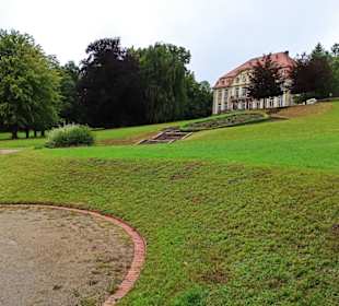Spaziergang durch den Park
