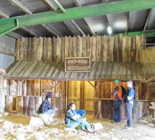 Eselpark-Impressionen